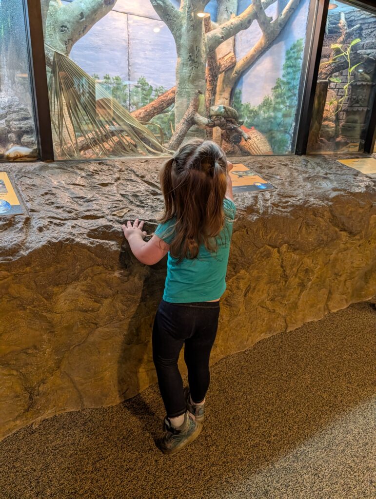 A Family Trip to the Central Florida Zoo